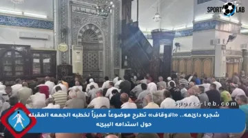 شجرة دائمة.. «الأوقاف» تطرح موضوعاً مميزاً لخطبة الجمعة المقبلة حول استدامة البيئة
